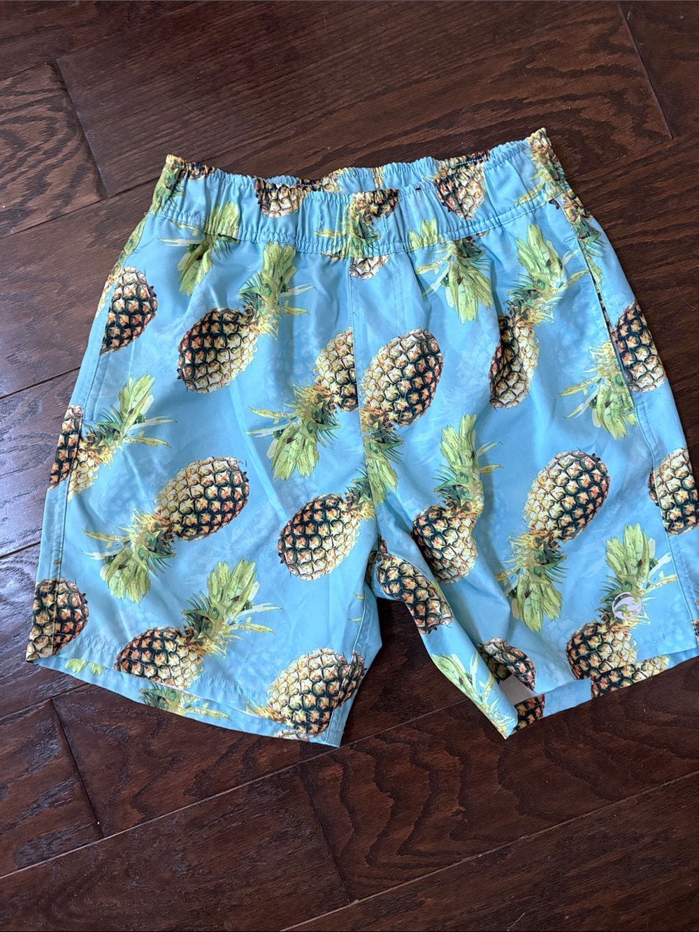 Pineapple Print Aqua Swim Shorts